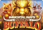 Buffalo Win